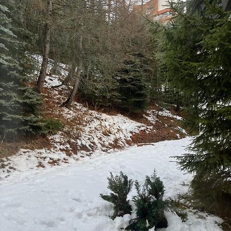 Appartement Les Menuires - 4 Personnes A 20 M Des Pistes 圣马丁德贝尔维尔 外观 照片