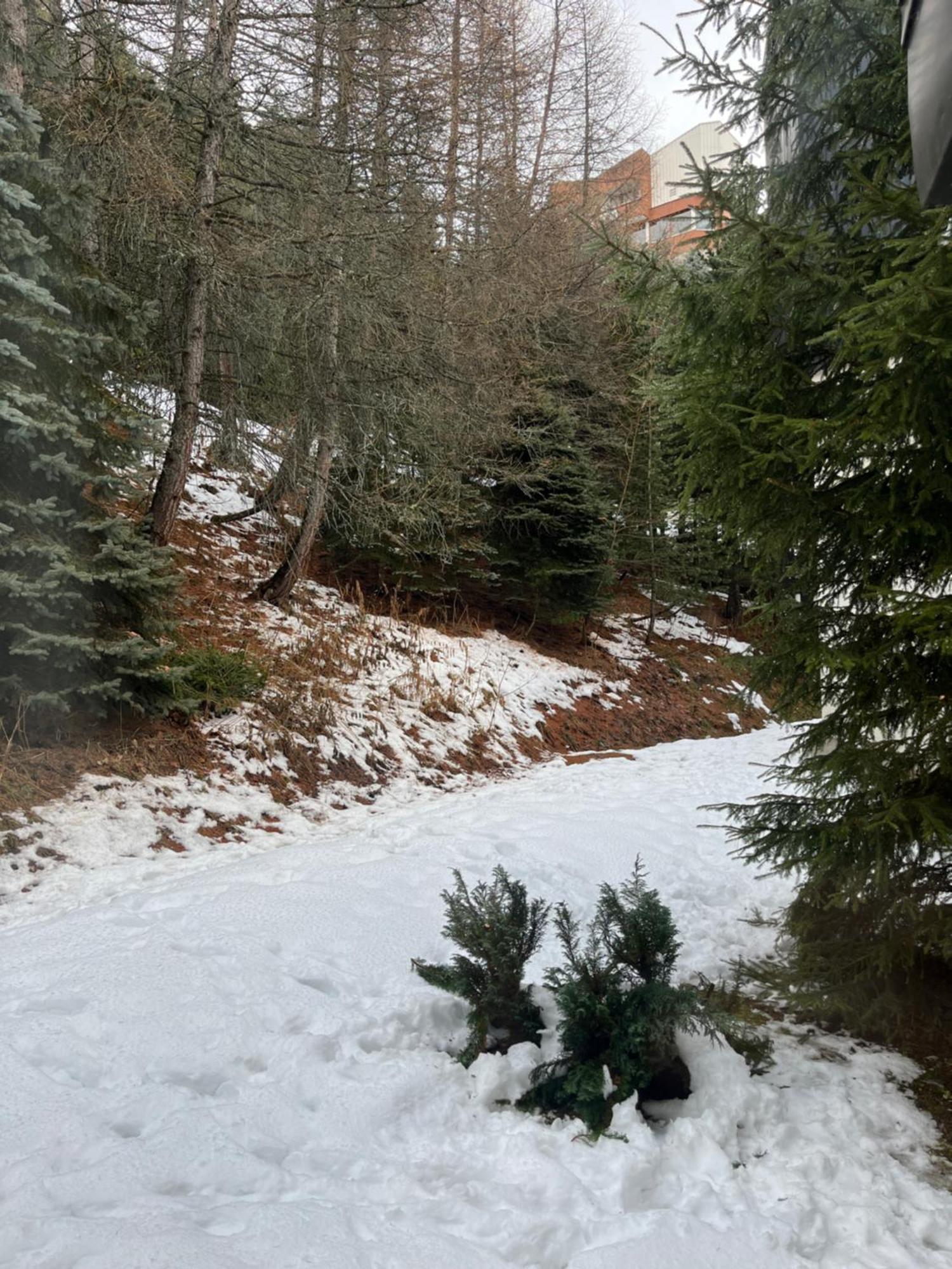 Appartement Les Menuires - 4 Personnes A 20 M Des Pistes 圣马丁德贝尔维尔 外观 照片